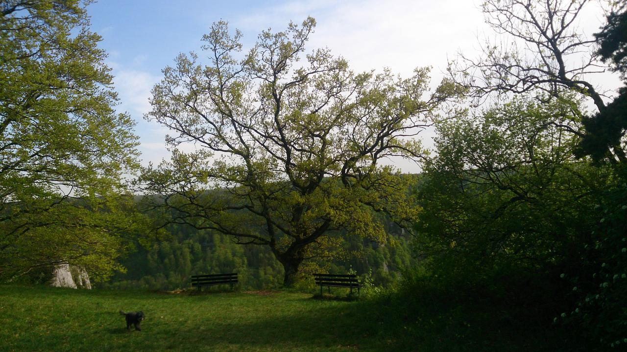 Berghaus Knopfmacher Fridingen an der Donau Dış mekan fotoğraf